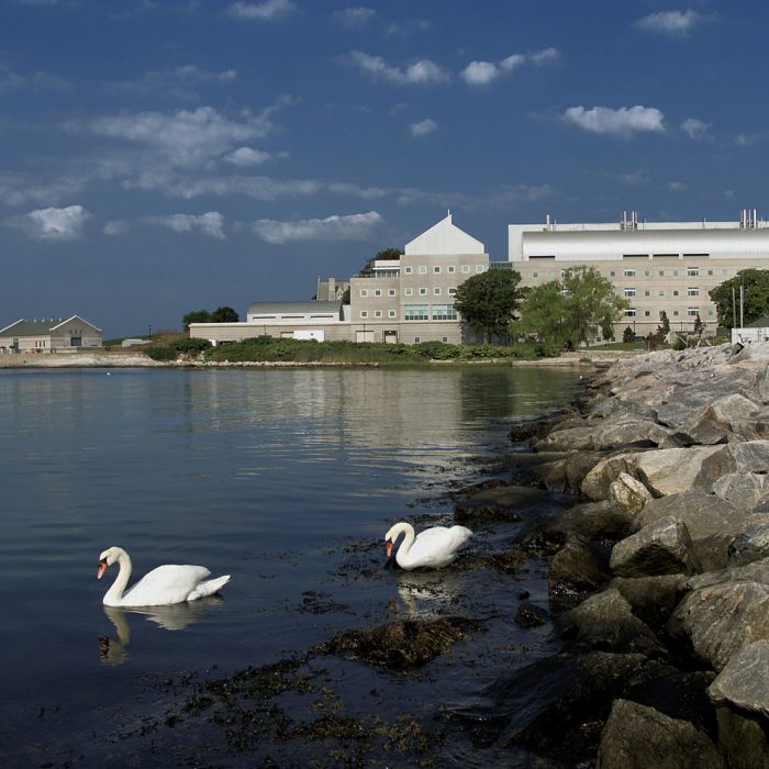 Avery Point panorama
