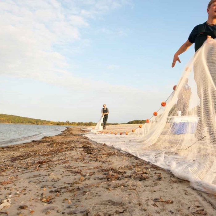 Baumann group beachseining
